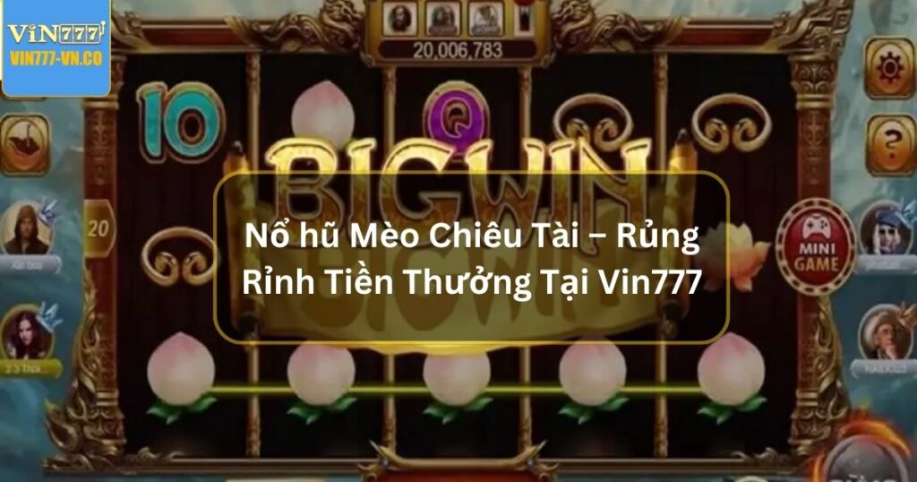 no hu meo chieu tai