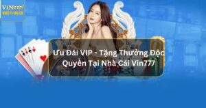 uu dai vip